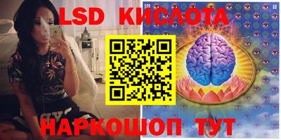 СК Кандалакша
