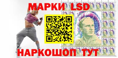 СК Кандалакша