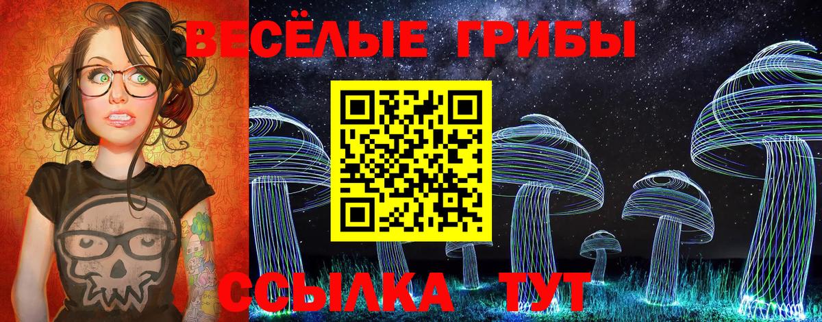 Галлюциногенные грибы мицелий  Псилоцибиновые грибы ЛСД  цены наркотик  Вход с VPN  Красноярск 