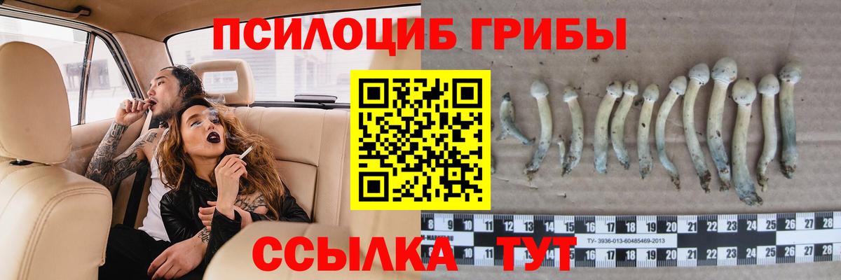 Галлюциногенные грибы мухоморы Красноярск